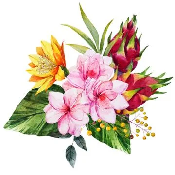 Watercolor tropical composition Stock Illustration