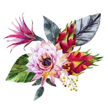 Watercolor tropical composition Stock Illustration