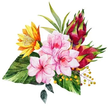Watercolor tropical composition Stock Illustration