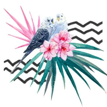 Watercolor tropical composition Stock Illustration