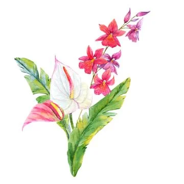 Watercolor tropical composition Illustrazione stock