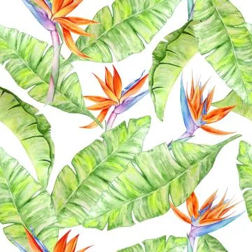Watercolor tropical pattern Illustrazione stock