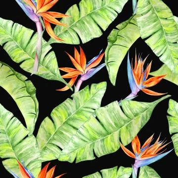 Watercolor tropical pattern Stock Illustration