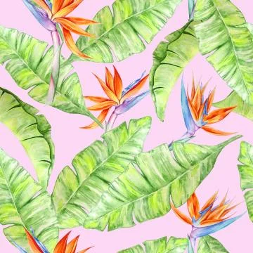 Watercolor tropical pattern Stock Illustration
