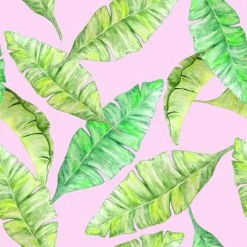 Watercolor tropical pattern Illustrazione stock