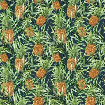 Watercolor tropical pattern with raw pineapple. Hand painted tropical fruit with Stock Illustration