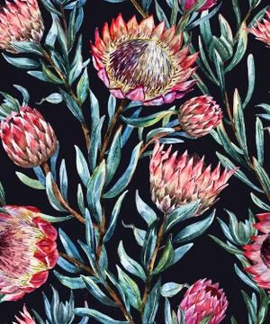 Watercolor tropical protea pattern Stock Illustration