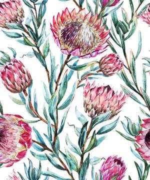 Watercolor tropical protea pattern イラスト素材