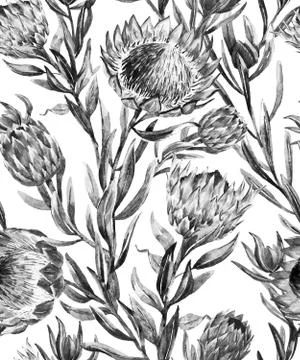 Watercolor tropical protea pattern イラスト素材