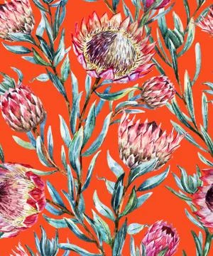 Watercolor tropical protea pattern イラスト素材