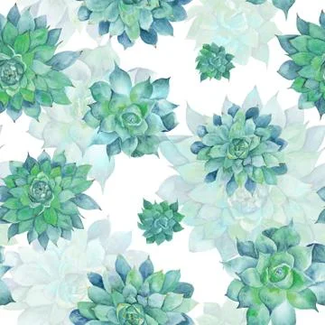 Watercolor Turquoise Succulent Pattern Stock Illustration