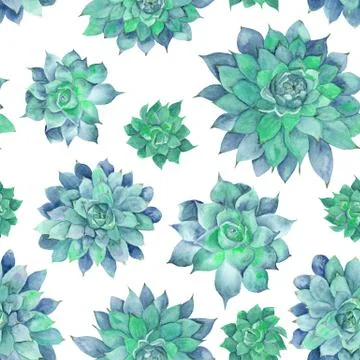 Watercolor Turquoise Succulent Pattern Stock Illustration