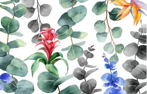 Watercolor vector background with green eucalyptus and exotic flowers. Illustrazione stock