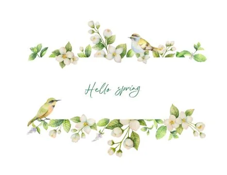 Watercolor vector banner with bird and flowers Jasmine isolated on white Stock Illustration