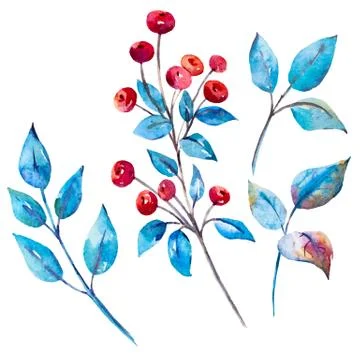 Watercolor vector berries Stock Illustration