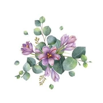 Watercolor vector bouquet with green eucalyptus leaves and flowers of saffron Stock-Illustration