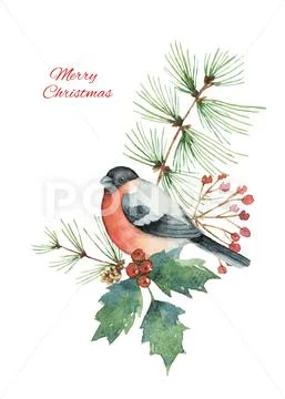 Watercolor vector Christmas bouquet with bullfinch and fir branches. Stock Illustration