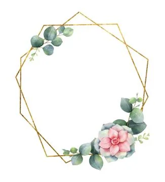 Watercolor vector composition from the branches of eucalyptus, flowers of suc Stock Illustration