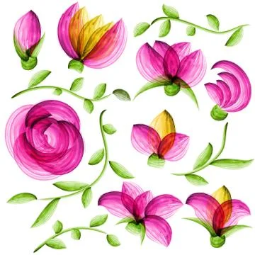 Watercolor vector floral elements 스톡 일러스트