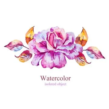 Watercolor vector flower Stock Illustration