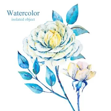 Watercolor vector flowers Stock Illustration