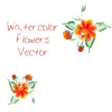 Watercolor Vector Flowers Stock Illustration