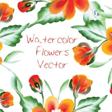 Watercolor Vector Flowers Stock Illustration