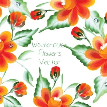 Watercolor Vector Flowers Stock Illustration