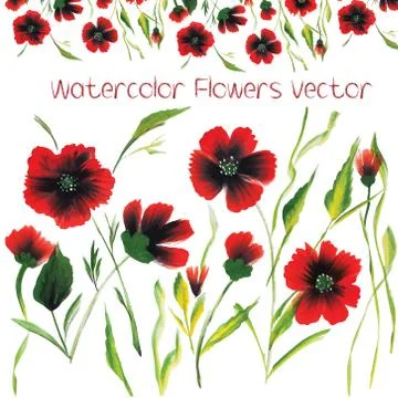 Watercolor Vector Flowers Stock Illustration