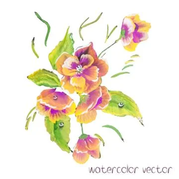 Watercolor Vector Flowers Stock Illustration