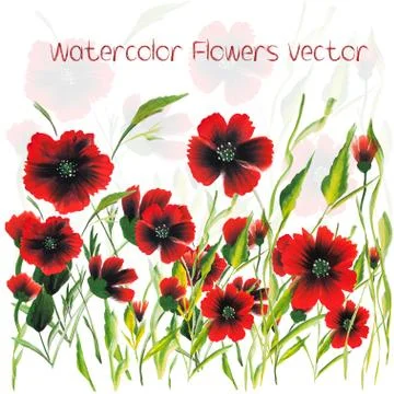 Watercolor Vector Flowers Stock Illustration