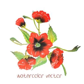 Watercolor Vector Flowers Stock Illustration