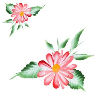 Watercolor Vector Flowers. Vector Watercolour Flowers Stock Illustration
