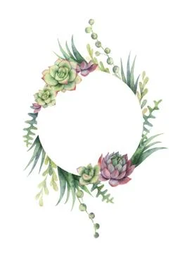Watercolor vector frame of cacti and succulent plants isolated on white Illustrazione stock