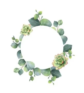 Watercolor vector frame with eucalyptus leaves and succulents. Illustrazione stock