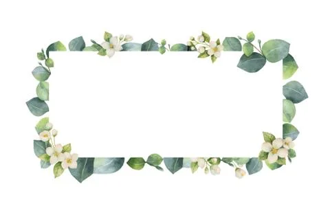 Watercolor vector frame with green eucalyptus leaves, Jasmine flowers and Illustrazione stock