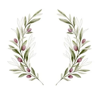 Watercolor vector frame with olive branches and green foliage. Hand painted Stock-Illustration