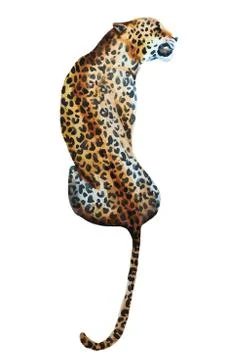 Watercolor vector leopard Stock-Illustration