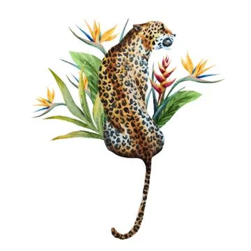 Watercolor vector leopard Stock Illustration