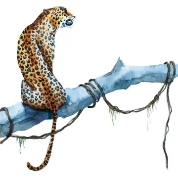 Watercolor vector leopard Stock Illustration