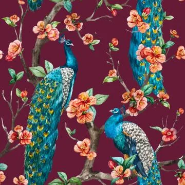 Watercolor vector peacock pattern Stockillustratie