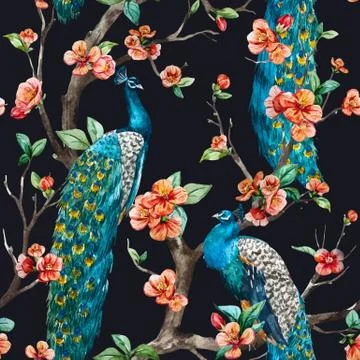 Watercolor vector peacock pattern 스톡 일러스트