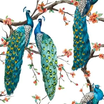 Watercolor vector peacock pattern Stock Illustration