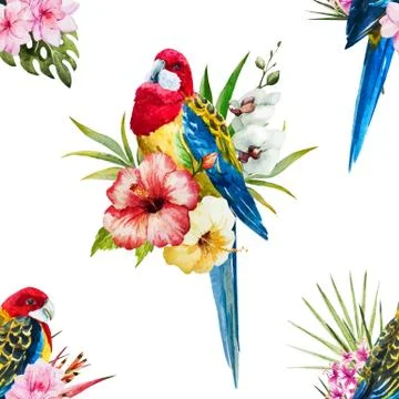 Watercolor vector rosella bird pattern イラスト素材