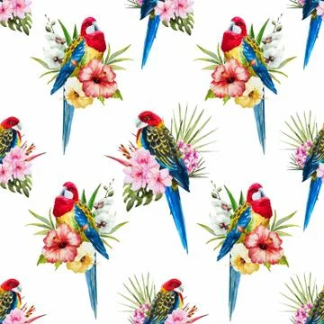 Watercolor vector rosella bird pattern Stock Illustration