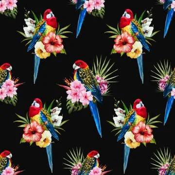 Watercolor vector rosella bird pattern Stock Illustration