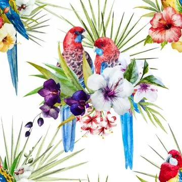 Watercolor vector rosella bird pattern Stock Illustration