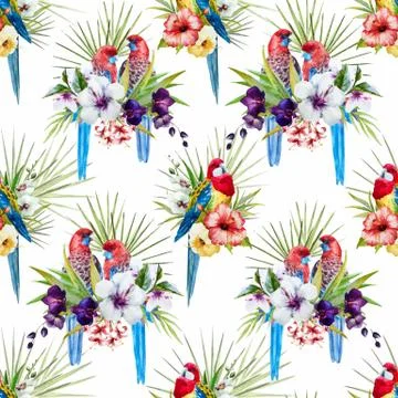 Watercolor vector rosella bird pattern Stock Illustration