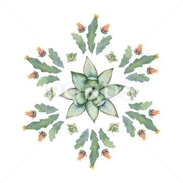 Watercolor vector round mandala of cacti and succulent plants isolated on white Stock Illustration