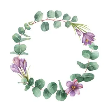 Watercolor vector round wreath with eucalyptus leaves and flowers of saffron. Illustrazione stock